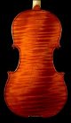 Jin Zhou West Violin